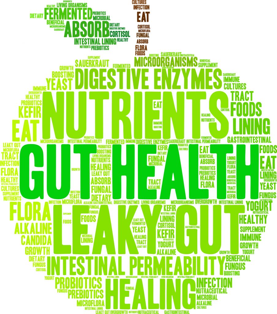 Have you got a leaky gut?