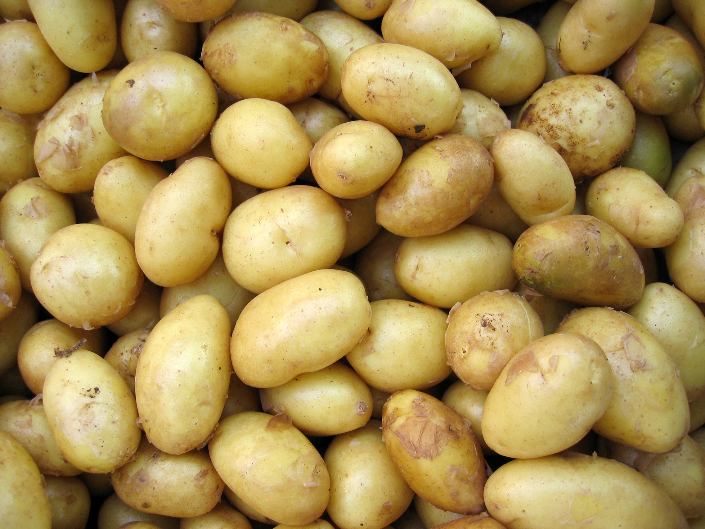 New potatoes nutrition