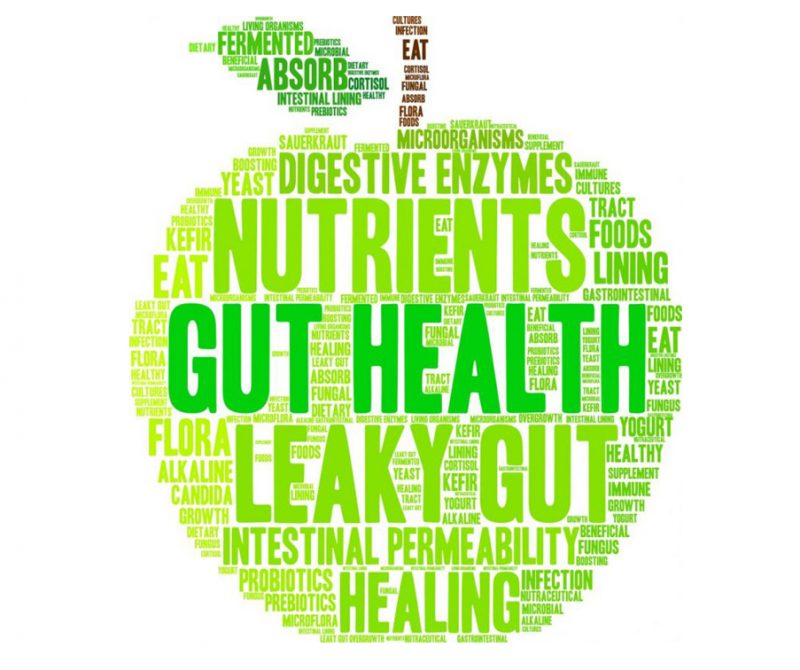 Word cloud nutrients gut health nutritionist